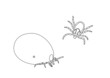 Ticks