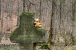Das Riddekreuz am Hohenstein mit Teddybär