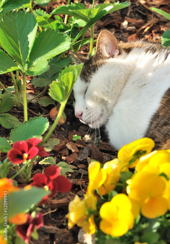 Photo: repos dans le jardin repos dans le jardin