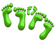 Green footprints of family