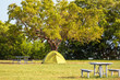 Photo: Tent on grassland Tent on grassland