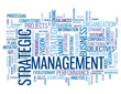 STRATEGIC MANAGEMENT Tag Cloud (strategy business lean process)