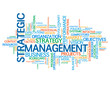 STRATEGIC MANAGEMENT Tag Cloud (lean business strategy process)