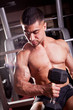 Bodybuilder training