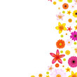 Flowers Border