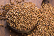 Buckwheat seeds on wooden spoon in closeup