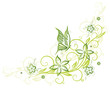 Blume, Blüte, Ranke, Frühling, grün