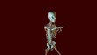 Dancing Skeleton Animation