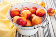 fresh nectarines and plums in colander