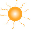 sole