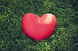 closeup of a red heart on the grass