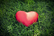 closeup of a red heart on the grass