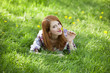 Beautiful girl lying down at grass.