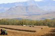 THRESHING MAIZE