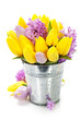 Beautiful spring flowers