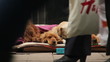 Homeless dog begging in crowded street