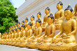 lots of golden buddha images