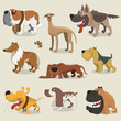 Cartoon dogs collection