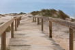 Wooden footpath through dunes at the ocean beach