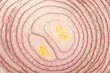 red onion slice