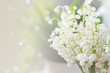 Photo: Lily of the valley Lily of the valley