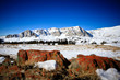 Berge Wyoming