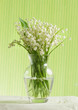 Lily of the valley