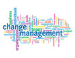 "CHANGE MANAGEMENT" Tag Cloud (quality process improvement lean)