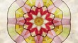 Flor fractal