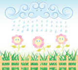 rain flower