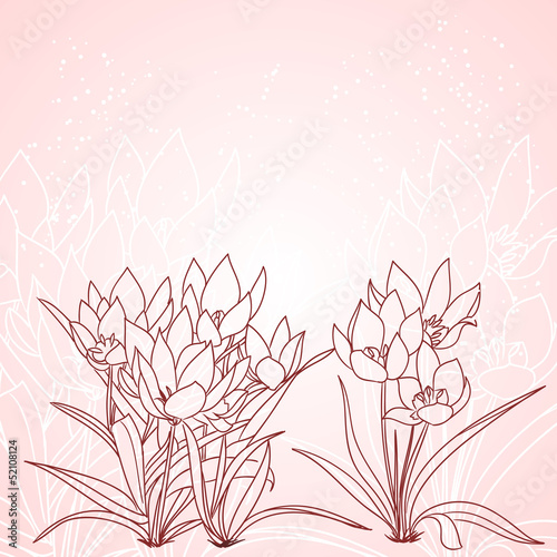 Vector: tulips outlines as spring background tulips outlines as spring background