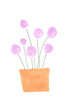 ピンクの薔薇