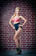 girl in swimsuit posing provocatively in front of a brick wall
