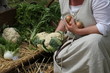 woman in costume while collecting onions from a cart full of veg