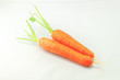 Carrot