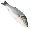 Foto: Fresh Sea Bass fish Fresh Sea Bass fish