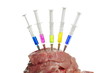 Injection into fresh meat