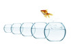 jumping out fish from aquarium