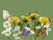Vector: Meadow Meadow