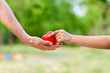 Mother's love in the hand, on the palm