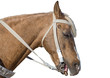 brown horse