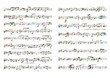 notes
