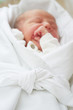 Newborn