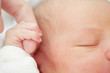 Newborn