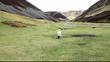 sheep grazing in wanlockhead scotland