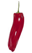 Pimiento