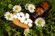 Schüssler Salze mit Blüten