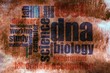 Biology word cloud