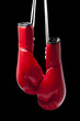 Boxing Glove