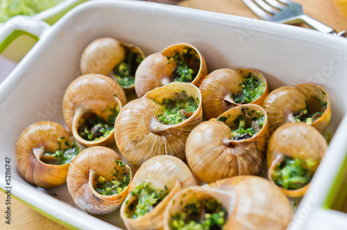 Photo: Bourgogne snails Bourgogne snails